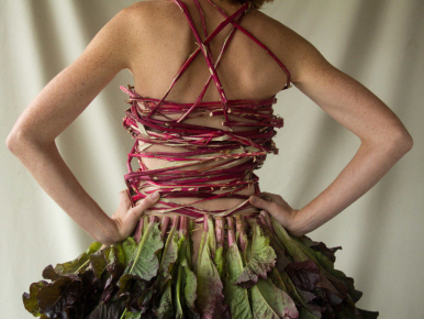 Food Waste Taking Over Fashion Industry